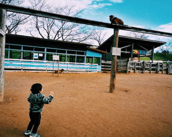 家族連れや犬連れにおすすめ！千葉県の【成田ゆめ牧場】で動物と遊ぼう1.jpg