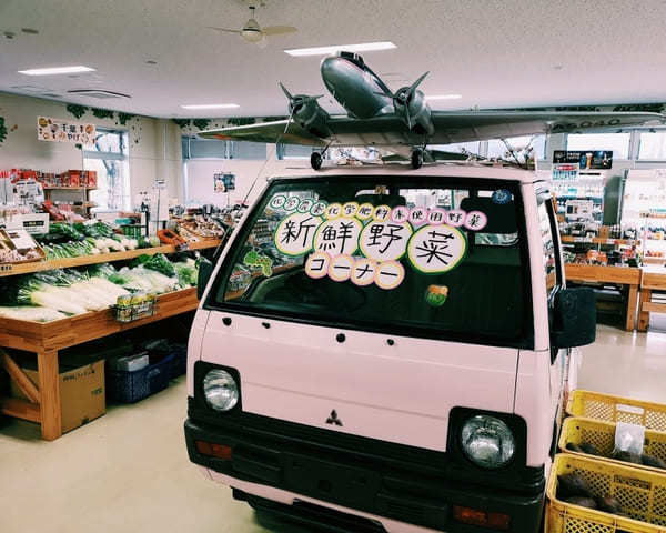 【成田・さくらの山】飛行機が間近に見える穴場スポット&空の駅さくら館