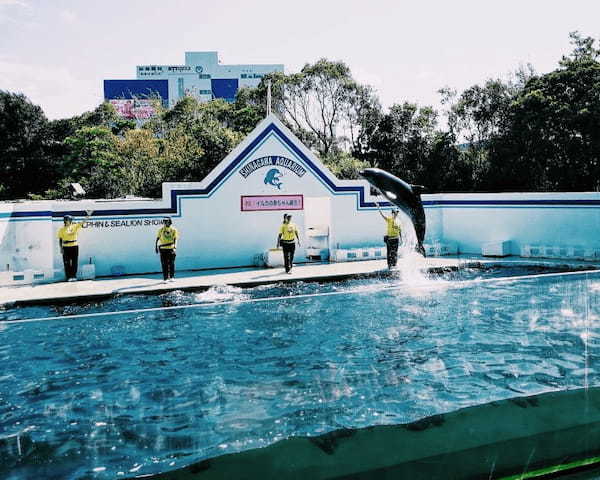 関東の人気水族館TOP17！みんなが行っている水族館ランキング1.jpg