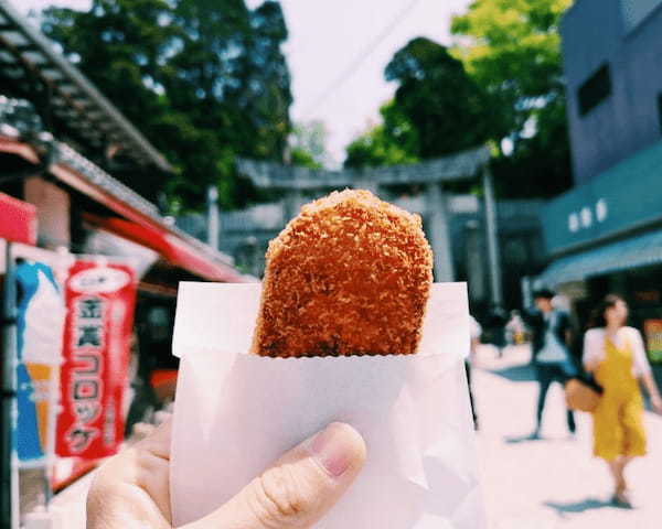 【福岡・宮地嶽神社】嵐出演のCMロケ地はファンじゃなくても楽しめる！1.jpg