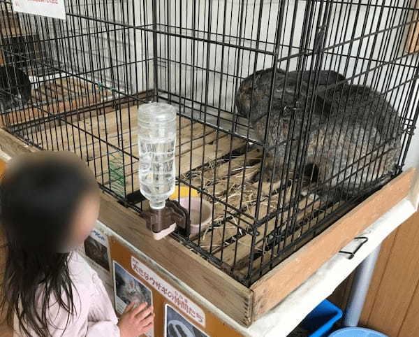 【都内近郊】無料の子供遊び場！動物とも触れ合える「浦安市交通公園」がおすすめ1.jpg