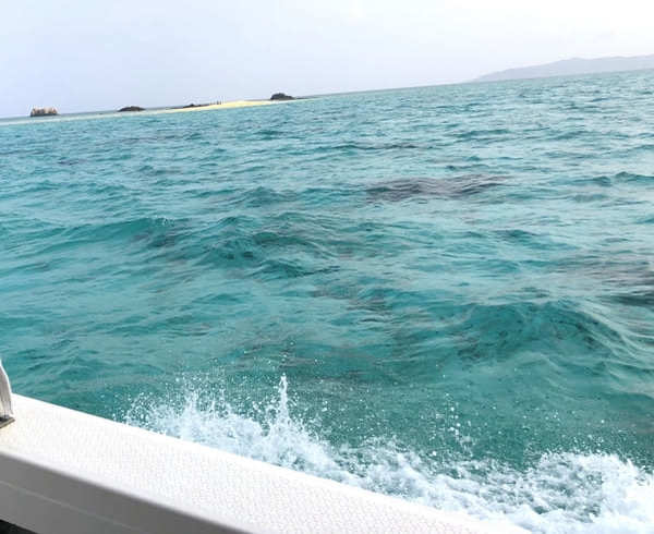 「幻の島」に上陸！シュノーケリングも楽しめる！【オーシャンズ石垣島】