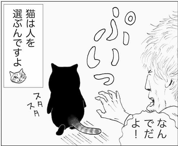 ＜猫漫画＞DVヒモ男と暮らすOL、野良猫3匹とホームレスのおじさんを迎え入れる／モンちゃんと私