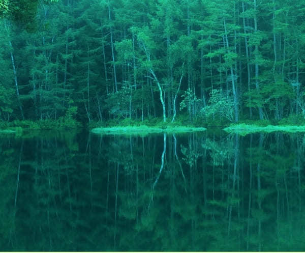 一度は見たい！息をのむ絶景！【長野・御射鹿池】