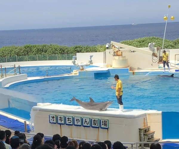 【沖縄美ら海水族館】のチケットは買わなくてOK！イルカショーはなぜ無料？