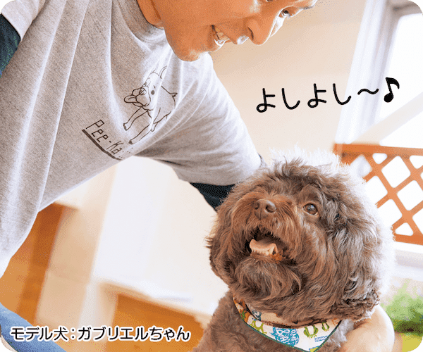 愛犬が寝落ちしちゃう？うっとり触り方講座