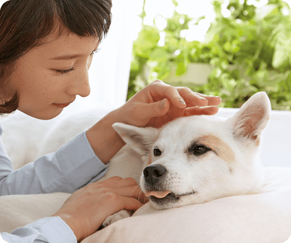 愛犬が寝落ちしちゃう？うっとり触り方講座