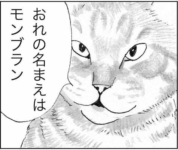 ＜猫漫画＞家にあげた「猫先生」に甘えられるミキちゃん。そこに現れたのは…？／モンちゃんと私