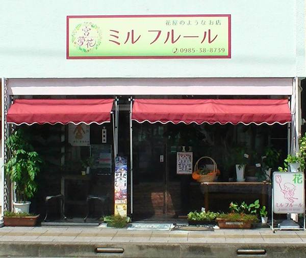 宮崎市のおしゃれな花屋25選！便利な駅前店やアレンジ花束が人気な店も！