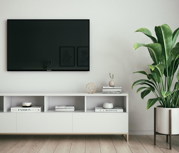 コストコ,テレビ