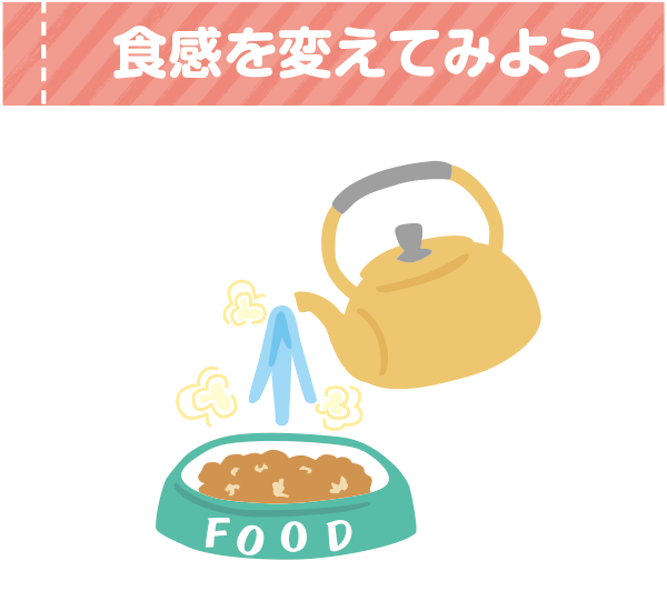 どんな食事がいいのかな？子犬のごはん元気もりもりデビュー