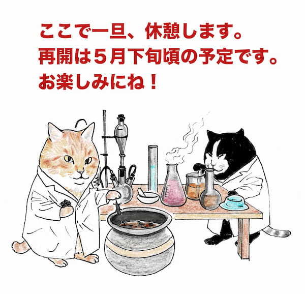 ＜猫漫画＞DVヒモ男と暮らすOL、野良猫3匹とホームレスのおじさんを迎え入れる／モンちゃんと私