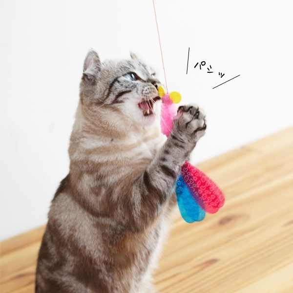 飼い主さんに聞いた!猫に人気のおもちゃランキングTOP10!選び方のポイントも解説