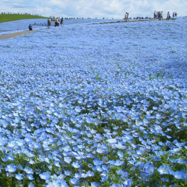 関東のおすすめ絶景スポット22選！感動の景色を見に出かけよう