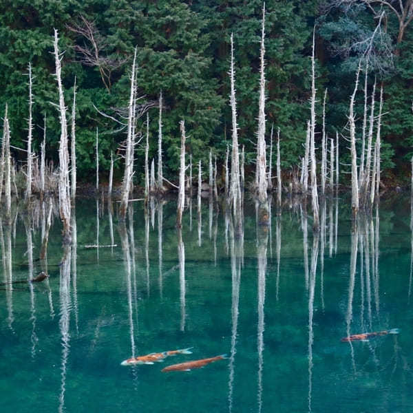 中国地方でおすすめのインスタ映えする景色&食べ物24選!