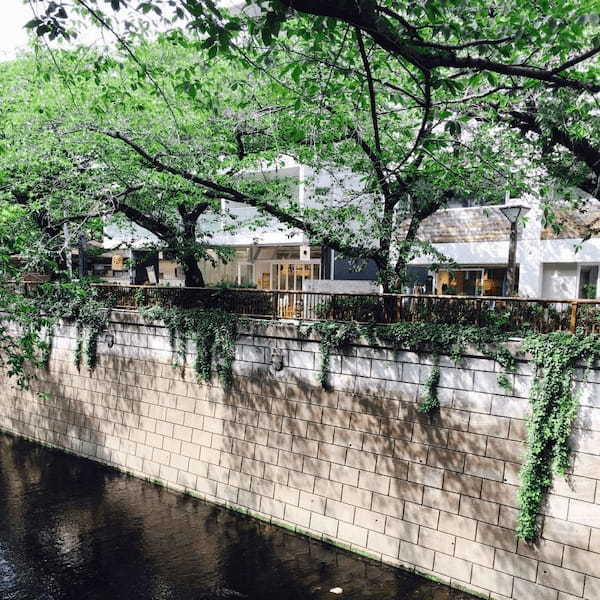 春の東京デートに!カップルにおすすめのおでかけスポット20選1.jpg