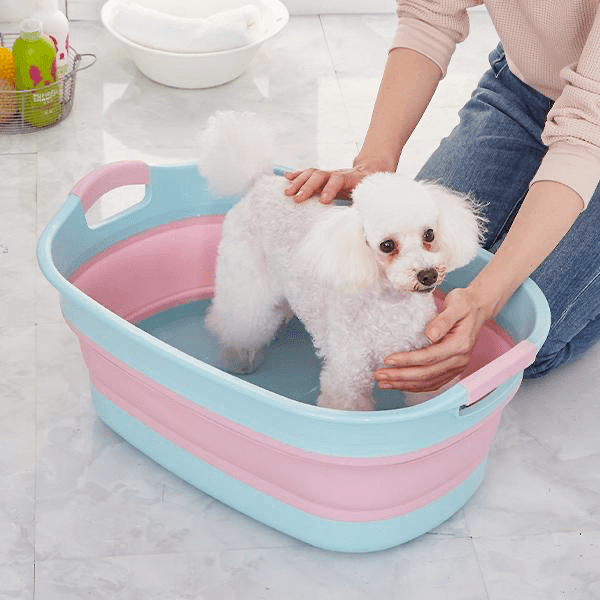 【トリマー監修】おすすめの犬用ドライヤー紹介!乾かし方や選び方を解説!