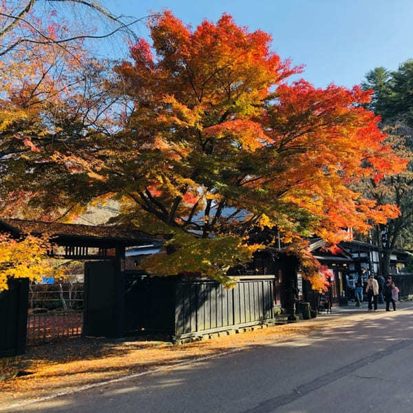 カップルの日帰りデートに!東北のおすすめデートスポット37選