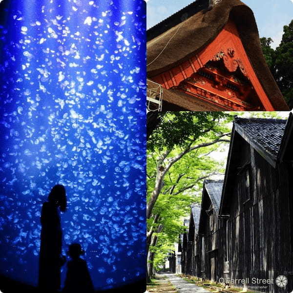 【加茂水族館・山居倉庫・羽黒山】山形県鶴岡市から日帰りで行ける人気スポット1.jpg
