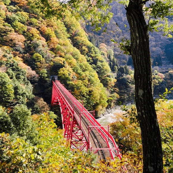 日本の人気の渓谷・峡谷TOP24！旅行好きが行っている全国の渓谷＆峡谷ランキング