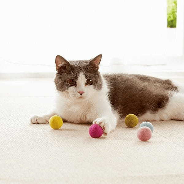 飼い主さんに聞いた!猫に人気のおもちゃランキングTOP10!選び方のポイントも解説