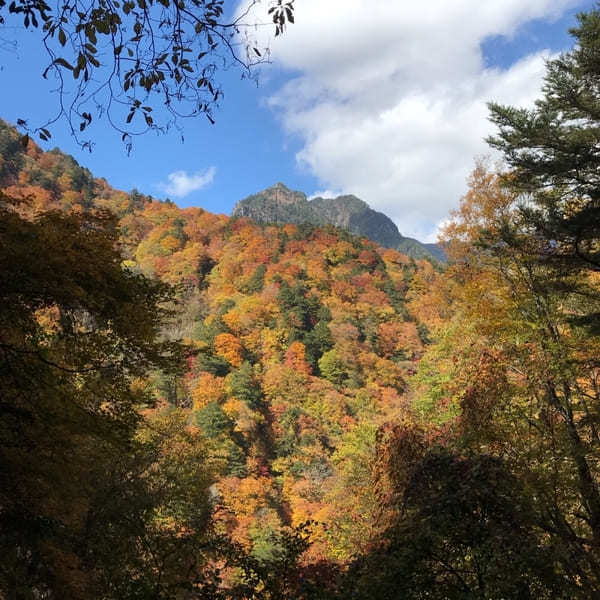 甲信越のおすすめ渓谷・峡谷8選!清流と豊かな自然に癒されよう