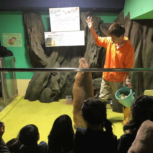 岡崎城・竹島・竹島水族館をめぐる岡崎＆蒲郡1日観光おすすめモデルコース【愛知】1.jpg