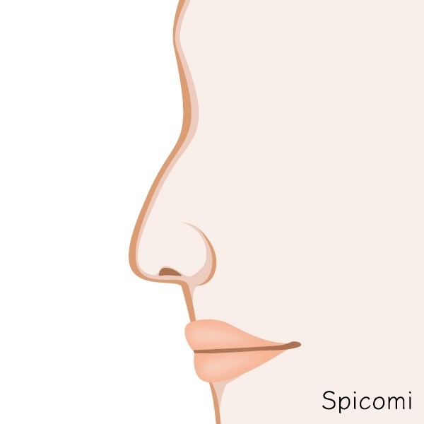 『Spicomi』より引用
