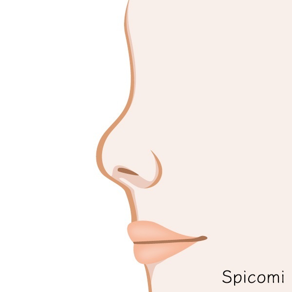 『Spicomi』より引用