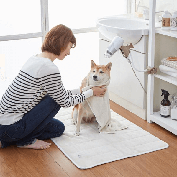 【トリマー監修】おすすめの犬用ドライヤー紹介!乾かし方や選び方を解説!