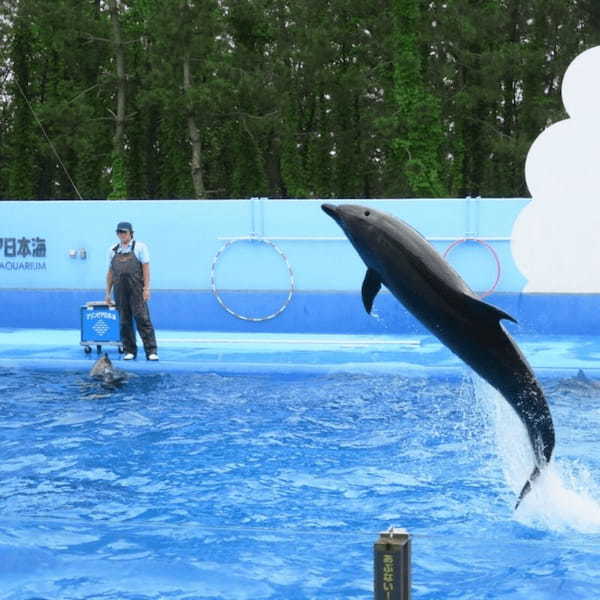 甲信越の人気水族館TOP7！みんなが行っている水族館ランキング1.jpg