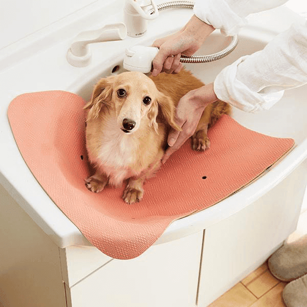 【トリマー監修】おすすめの犬用ドライヤー紹介!乾かし方や選び方を解説!