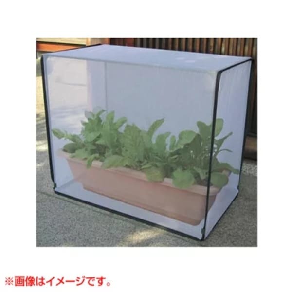 初心者にもおすすめ秋冬野菜栽培&アイテムをご紹介!栽培のお困りごともプロが解決!