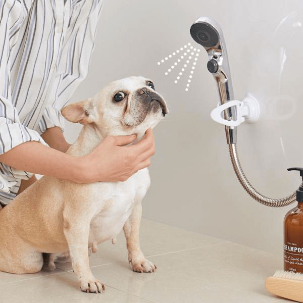 【トリマー監修】おすすめの犬用ドライヤー紹介!乾かし方や選び方を解説!