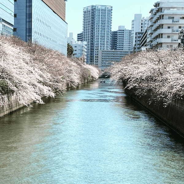 春の東京デートに!カップルにおすすめのおでかけスポット20選1.jpg