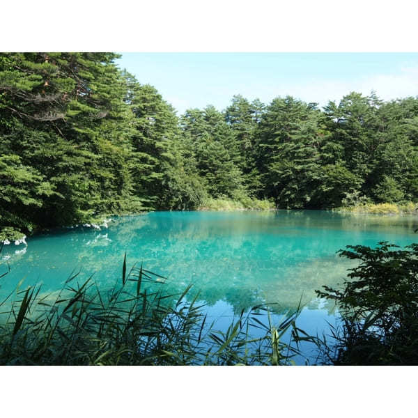 カップルの日帰りデートに!東北のおすすめデートスポット37選