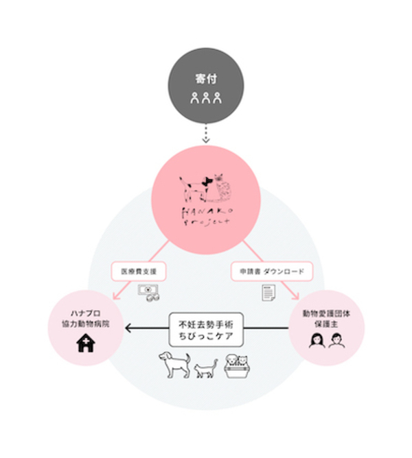 飼い主のいない犬と猫へ、医療を届けるしくみをつくる「ハナコプロジェクト」活動開始