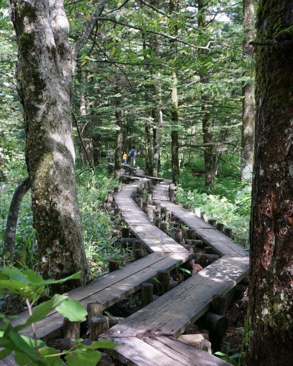 「神降地」とも称される神秘の上高地・明神池へのハイキングを楽しもう