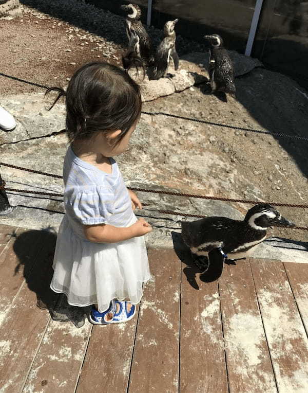 赤ちゃん連れでも楽しめる【新潟】上越市立水族博物館「うみがたり」1.jpg