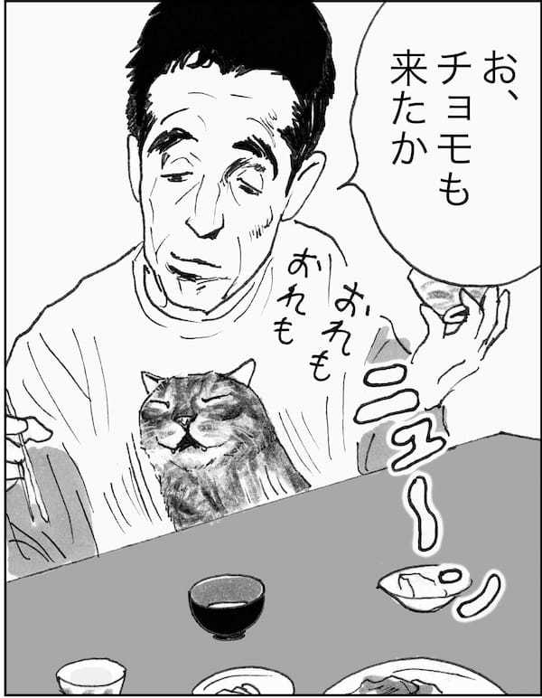 ＜猫漫画＞DVヒモ男と暮らすOL、野良猫3匹とホームレスのおじさんを迎え入れる／モンちゃんと私