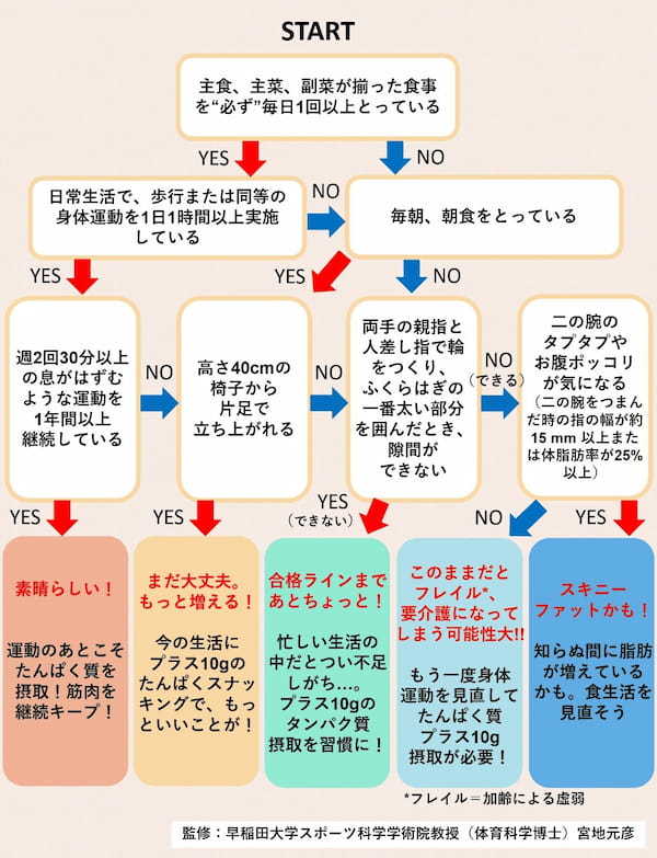 痩せてるのに肥満「スキニーファット」に要注意。たんぱく質をこまめに摂ることから始めよう