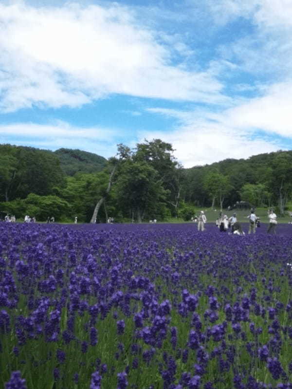 【2022】8月の国内おすすめ旅行先20選！夏休み旅行にぴったりな観光地特集1.jpg