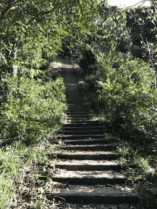 【千葉】「鋸山」登山はまるで遺跡探検！？「さすけ食堂」で幻の黄金アジフライも