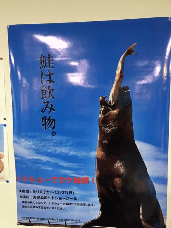 【北海道】圧巻のトドショー！大自然に囲まれたおたる水族館で海獣に会おう！