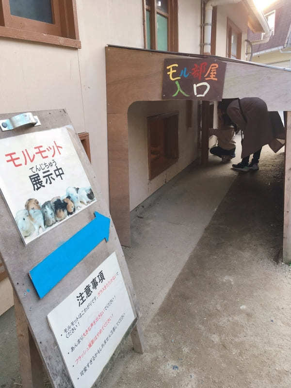 【豊田市】鞍ヶ池公園にある無料動物園のクセがすごい！デートにもファミリーにもおすすめ