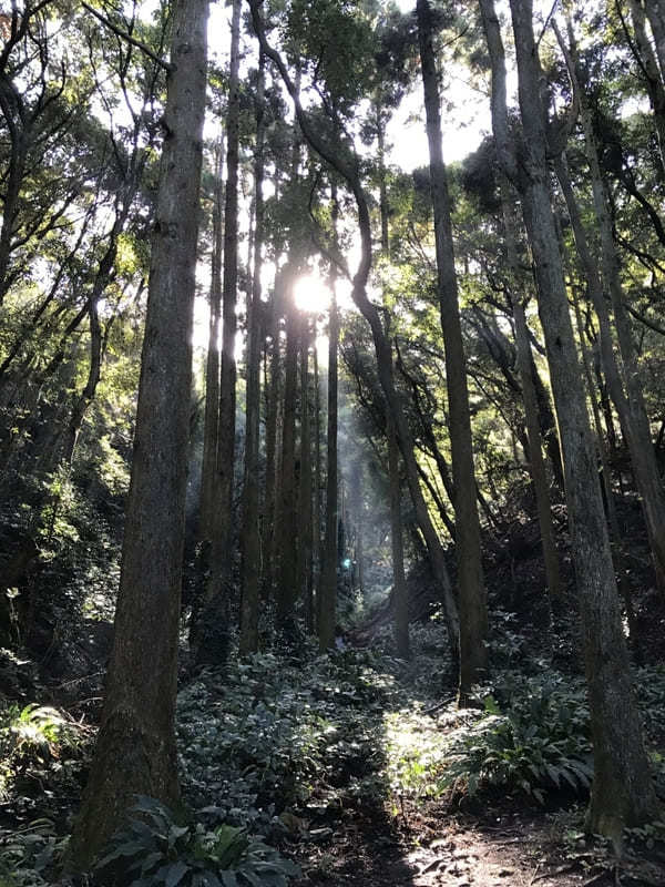 【千葉】「鋸山」登山はまるで遺跡探検！？「さすけ食堂」で幻の黄金アジフライも