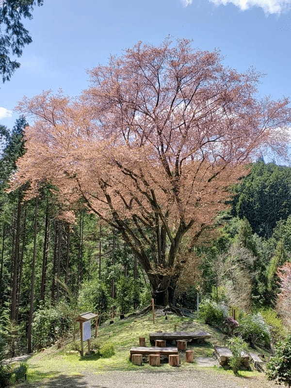 岐阜県の山間にある町【八百津】のおすすめスポット