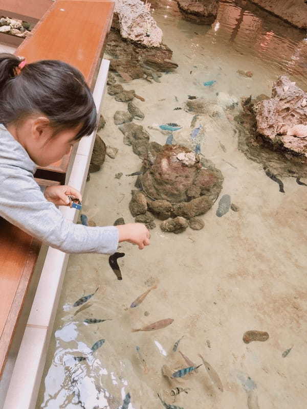 【沖縄県恩納村】水質「AAランク」ビーチ有☆ロビーで熱帯魚にエサやりも！雨でも遊べるシェラトン沖縄サンマリーナリゾート1.jpg