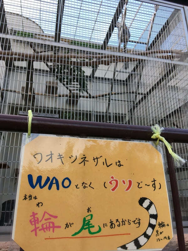 【豊田市】鞍ヶ池公園にある無料動物園のクセがすごい！デートにもファミリーにもおすすめ