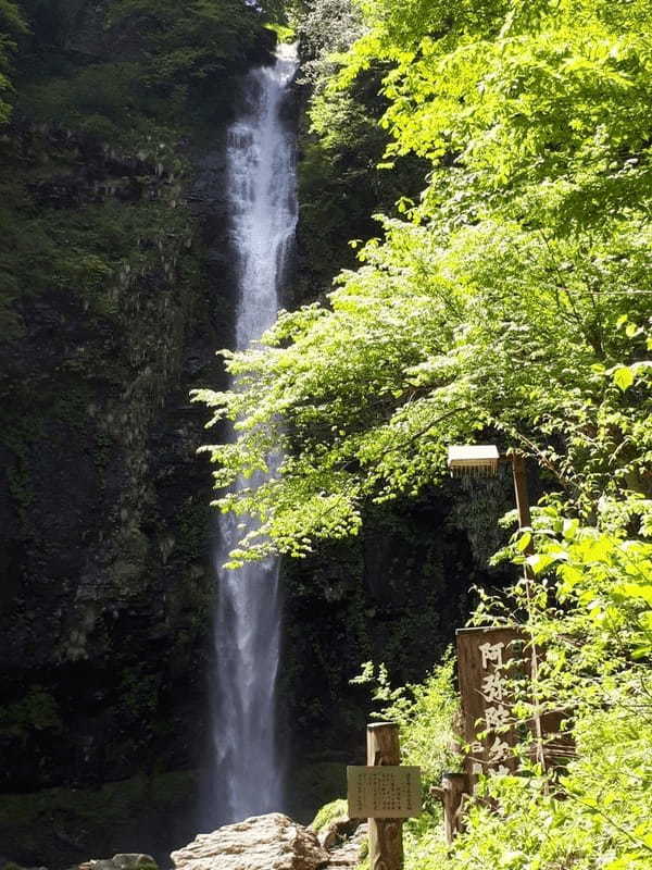 【奥美濃】長良川の源流・阿弥陀ケ滝と霊峰白山を祀る神社を巡るドライブ旅